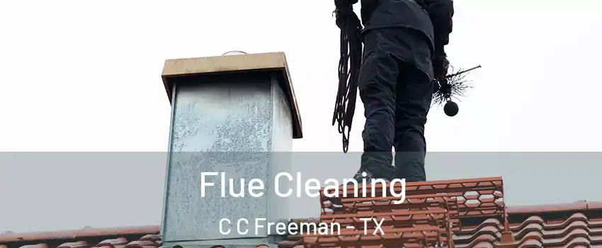 Flue Cleaning C C Freeman - TX