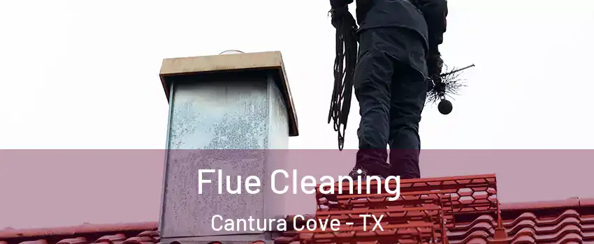 Flue Cleaning Cantura Cove - TX