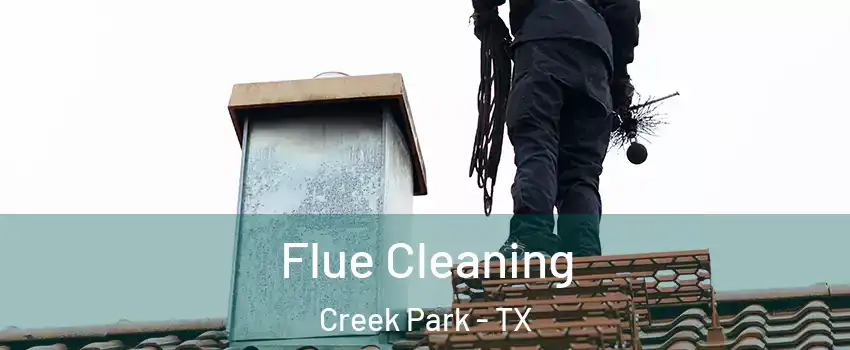 Flue Cleaning Creek Park - TX