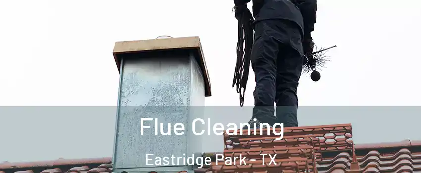 Flue Cleaning Eastridge Park - TX