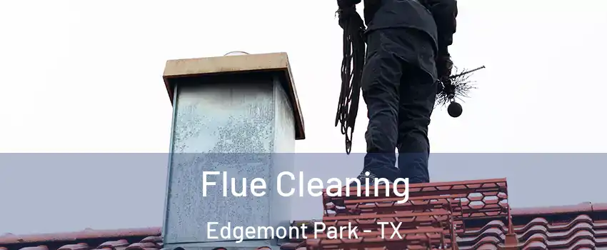 Flue Cleaning Edgemont Park - TX