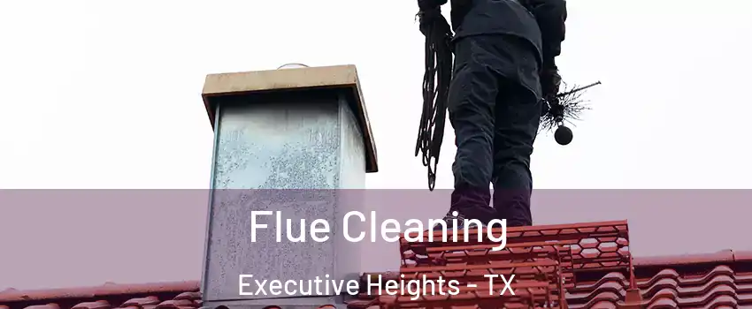 Flue Cleaning Executive Heights - TX