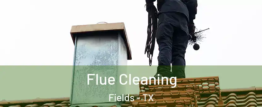 Flue Cleaning Fields - TX