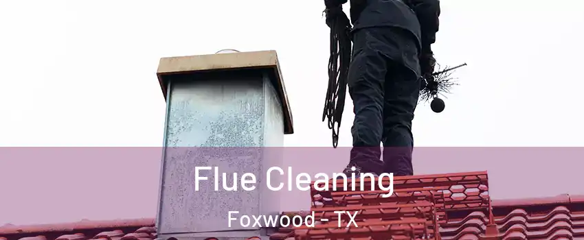 Flue Cleaning Foxwood - TX