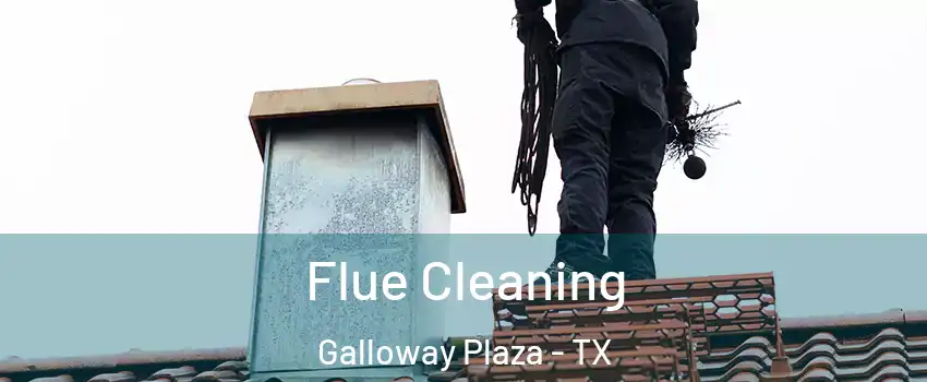 Flue Cleaning Galloway Plaza - TX