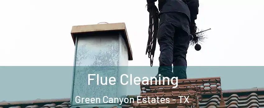 Flue Cleaning Green Canyon Estates - TX