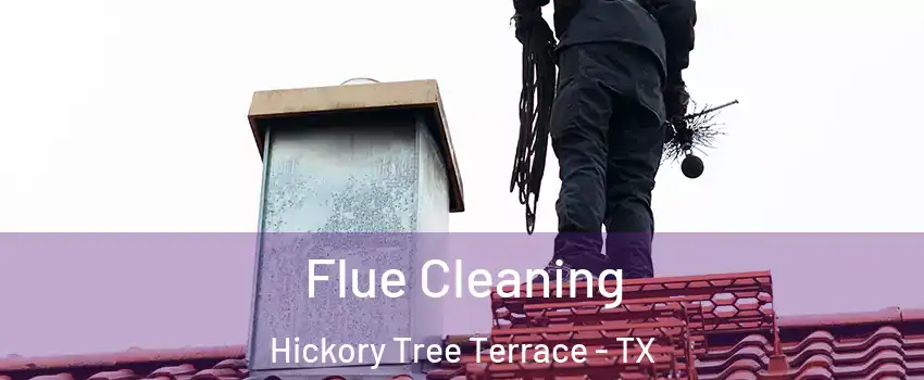 Flue Cleaning Hickory Tree Terrace - TX