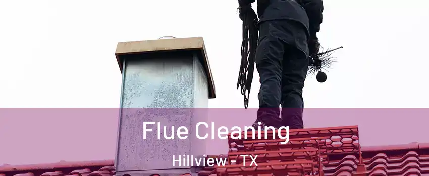 Flue Cleaning Hillview - TX