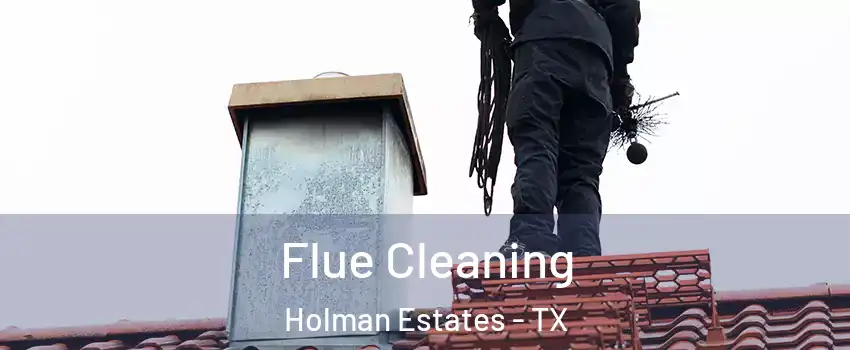 Flue Cleaning Holman Estates - TX