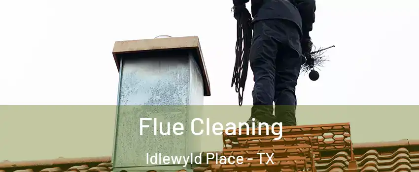 Flue Cleaning Idlewyld Place - TX