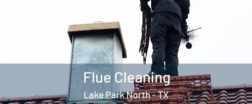 Flue Cleaning Lake Park North - TX