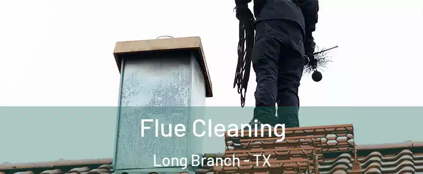 Flue Cleaning Long Branch - TX