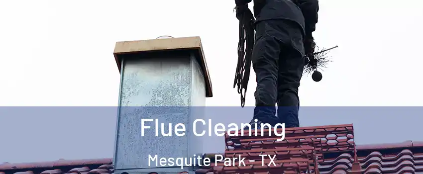 Flue Cleaning Mesquite Park - TX
