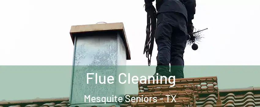 Flue Cleaning Mesquite Seniors - TX