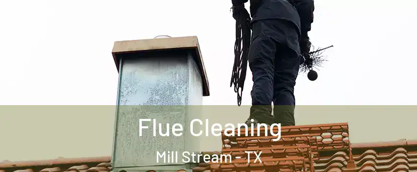 Flue Cleaning Mill Stream - TX
