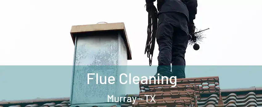 Flue Cleaning Murray - TX