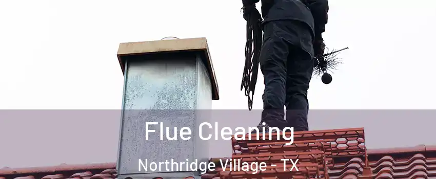 Flue Cleaning Northridge Village - TX