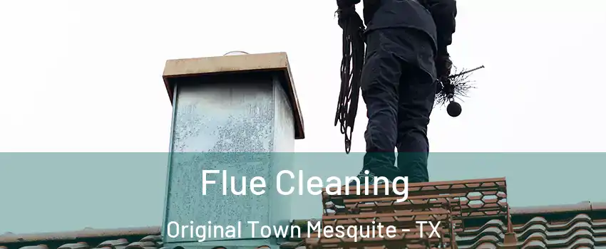 Flue Cleaning Original Town Mesquite - TX