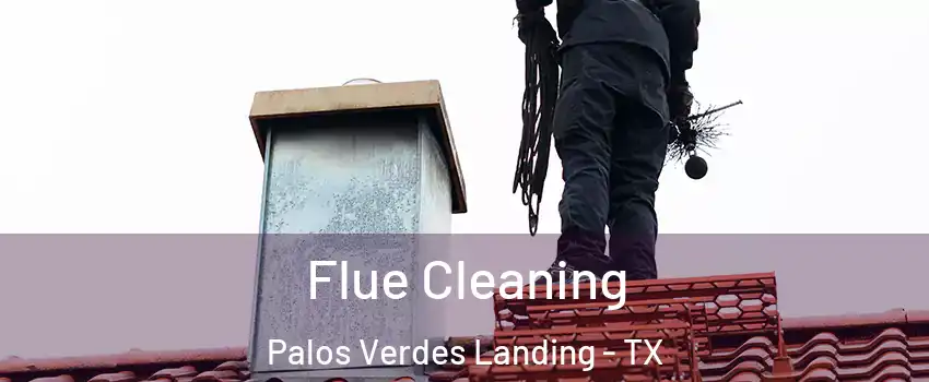 Flue Cleaning Palos Verdes Landing - TX