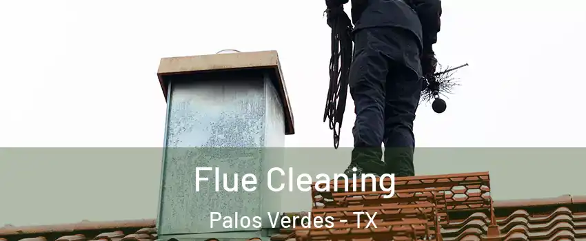 Flue Cleaning Palos Verdes - TX