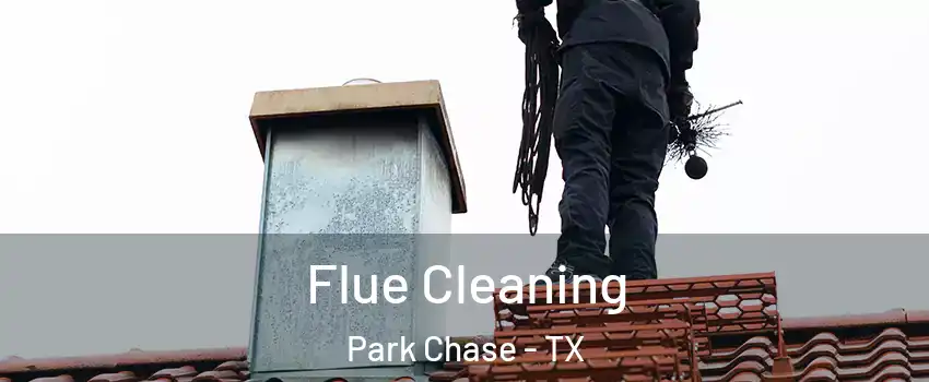 Flue Cleaning Park Chase - TX
