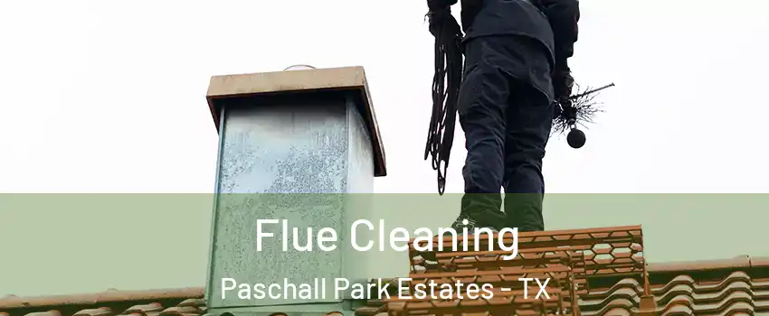 Flue Cleaning Paschall Park Estates - TX