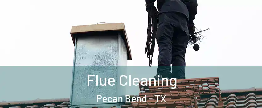 Flue Cleaning Pecan Bend - TX