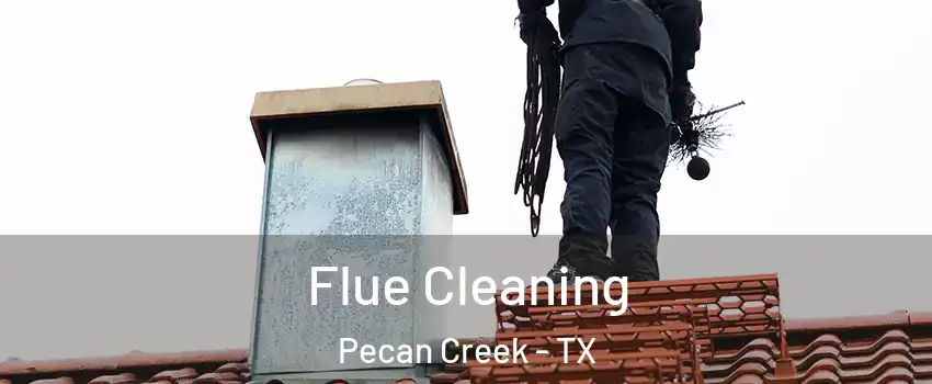 Flue Cleaning Pecan Creek - TX
