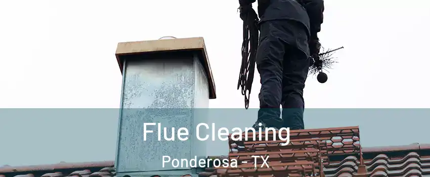 Flue Cleaning Ponderosa - TX