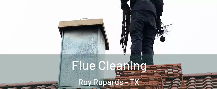 Flue Cleaning Roy Rupards - TX