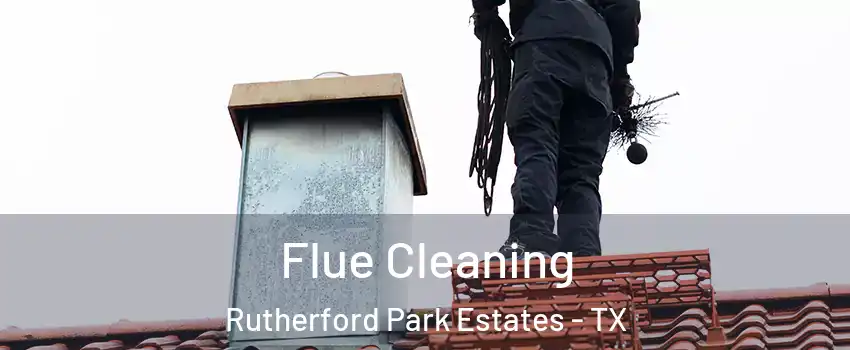 Flue Cleaning Rutherford Park Estates - TX