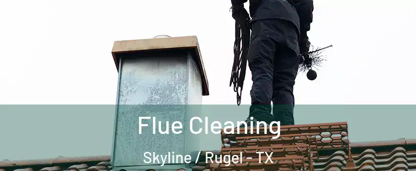 Flue Cleaning Skyline / Rugel - TX