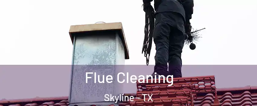 Flue Cleaning Skyline - TX