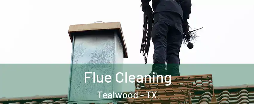 Flue Cleaning Tealwood - TX