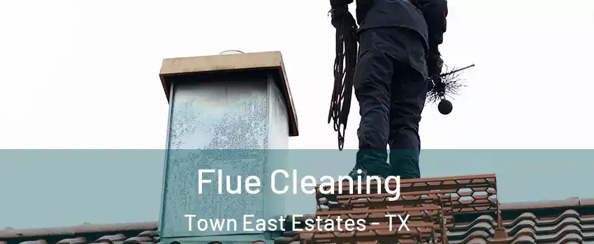 Flue Cleaning Town East Estates - TX