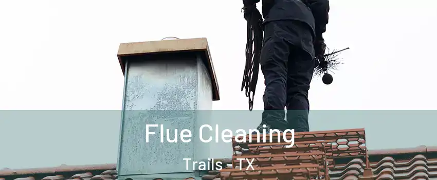 Flue Cleaning Trails - TX