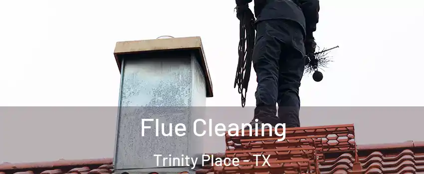 Flue Cleaning Trinity Place - TX