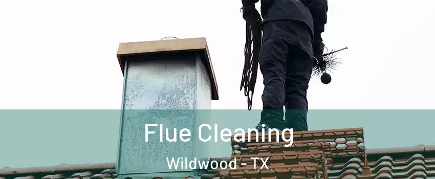 Flue Cleaning Wildwood - TX