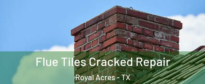 Flue Tiles Cracked Repair Royal Acres - TX