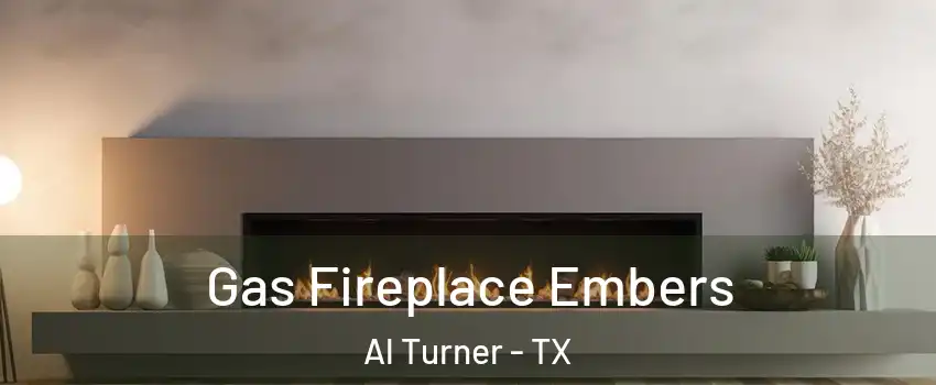 Gas Fireplace Embers Al Turner - TX