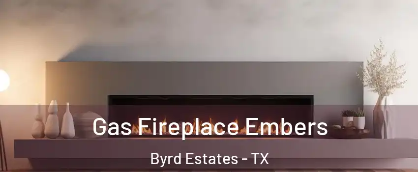 Gas Fireplace Embers Byrd Estates - TX