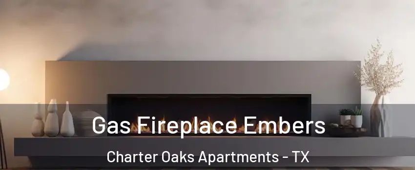 Gas Fireplace Embers Charter Oaks Apartments - TX