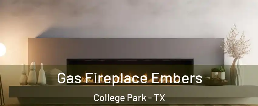 Gas Fireplace Embers College Park - TX