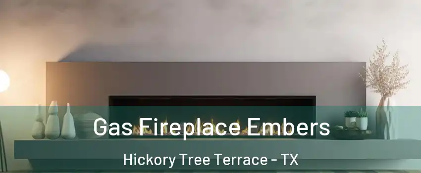 Gas Fireplace Embers Hickory Tree Terrace - TX