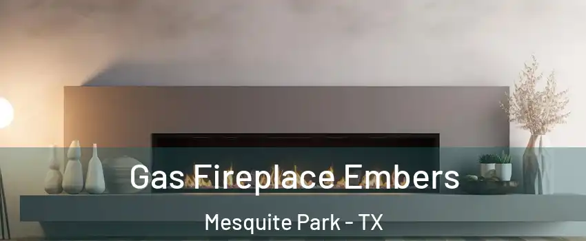 Gas Fireplace Embers Mesquite Park - TX