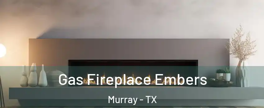 Gas Fireplace Embers Murray - TX