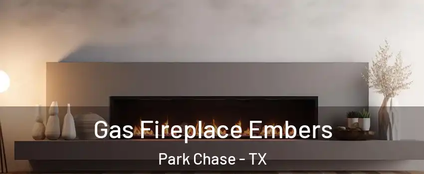 Gas Fireplace Embers Park Chase - TX