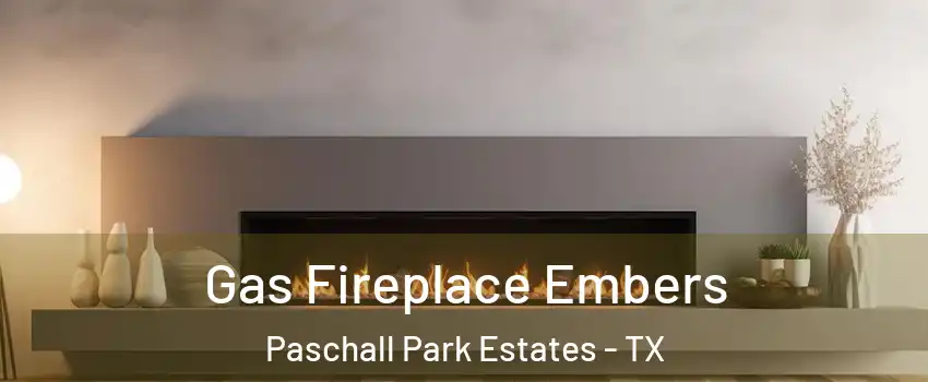 Gas Fireplace Embers Paschall Park Estates - TX