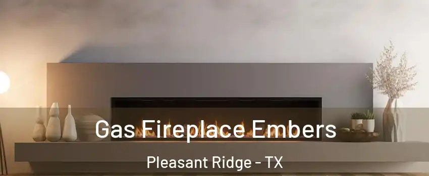 Gas Fireplace Embers Pleasant Ridge - TX