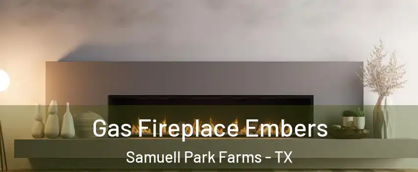 Gas Fireplace Embers Samuell Park Farms - TX
